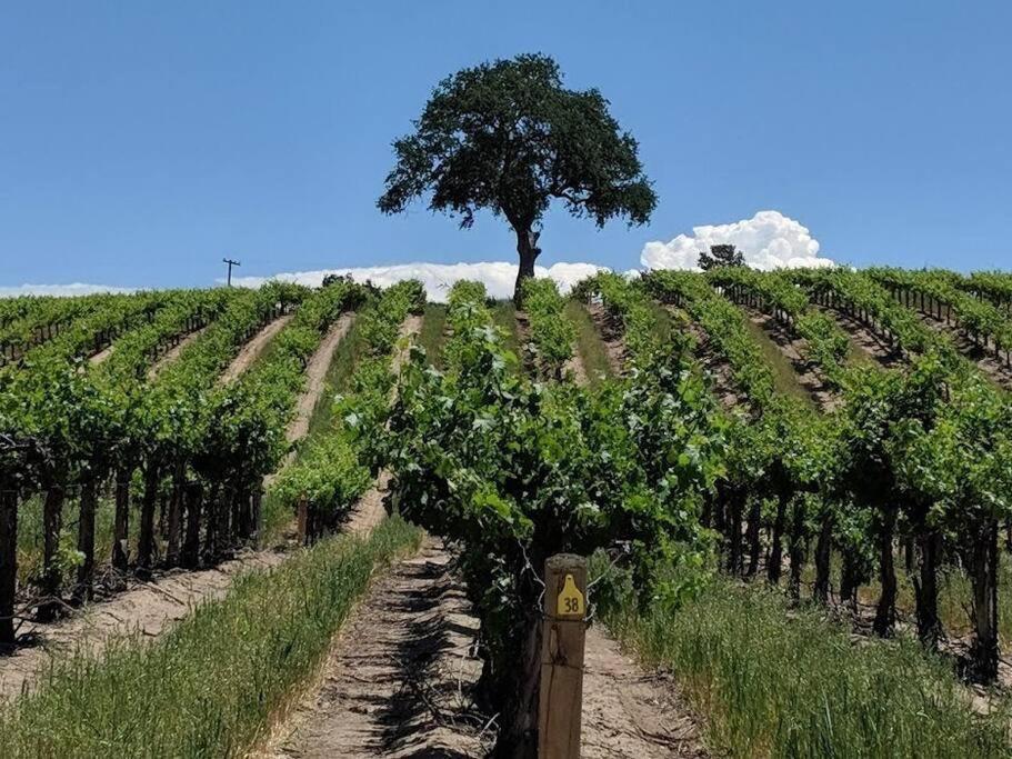 The Vineyard Farmhouse Villa Paso Robles Eksteriør billede