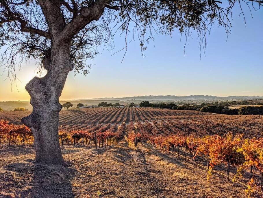 The Vineyard Farmhouse Villa Paso Robles Eksteriør billede